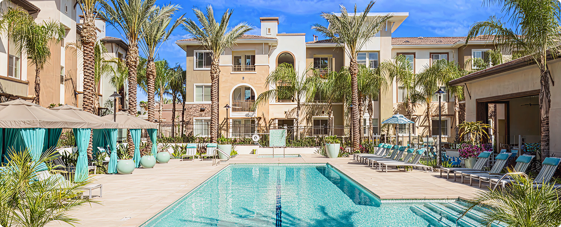 The pool at the Palms Resort surrounded by palm trees and lounge chairs under a clear blue sky.
